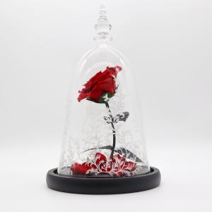 Wholesale Dried Beauty And The Beast Red Rose In Glass Gift Suitable For Decor Purposes from china suppliers