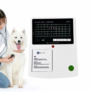Wholesale Handheld 12 Leads 3 Channels Vet ECG Machine For Pet Hospital from china suppliers