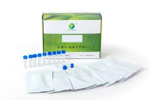 Wholesale Helicobacter Pylori Antigen (HP-Ag) Rapid Test Kit (Colloidal Gold) ISO,CE cetificated 25test per box from china suppliers