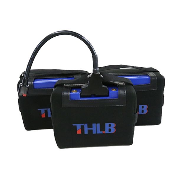 LiFePO4 Electric Golf Trolley Batteries 800 Cycles 24V 10Ah Battery