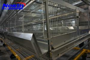 Wholesale Chicken Cage Manufacturers, Suppliers & Exporters from china suppliers