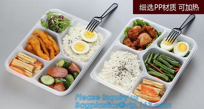 Factory Direct Lid Plastic Lunch Box Clear Food Container,Keep Fresh Crisper Food Box,Fresh Boxpp packaging disposable c