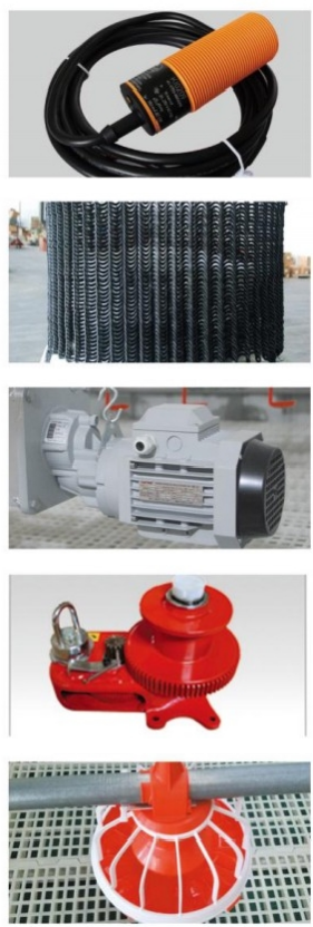 Steel Poultry Farm Automatic Feeding System For Broilers And Layers