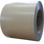 Al Zn Ral Color G3318 Painted Steel Coil Hot Dip Galvanized