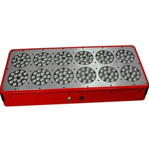Wholesale 540w Hydroponics grow tent Kits led grow lamp led lights for grow vegetables Grow kit from china suppliers