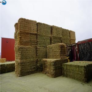 Wholesale Wholesale Plastic PP Hay Baler Rope 100% Polypropylene Baler Twine For Sale from china suppliers