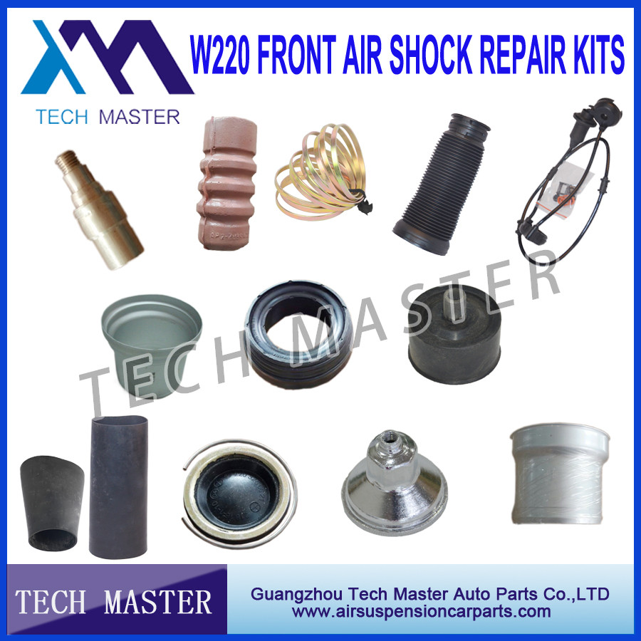 2203202438 Mercedes-benz Air Suspension Parts , Mercedes W220 Front Shock Absorber