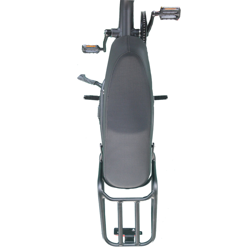 Electric Bicycle 48v 20 Inch Adult E Bike Customized Aluminum Alloy Frame 2022 Mountain