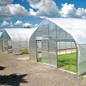 Wholesale Polycarbonate Greenhouse For Sale Single Span Greenhouse Gothic from china suppliers