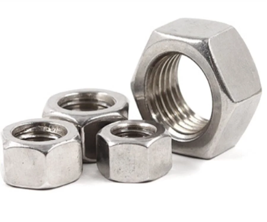 Stainless Steel Lock/Nylon Nut 304 Nut