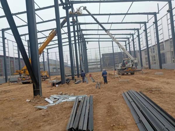LANGE Soundproof Prefabricated Steel Frame Buildings Customized Prefab Farm