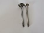3998AC Diesel Engine Valve For FIAT