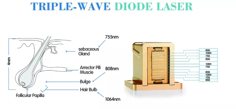 Painless Diode Laser Hair Removal Machine OEM ODM for Skin Tightening