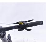 20 Inch Ultra Light Electric Folding Bike 0.25KW With Bafang Mid Drive Motor