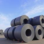 Hot Rolled Customized Carbon Steel Coil No Heat Treatment Or Heat Treatment