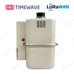 Wireless LoRaWAN Gas Meter IoT Smart Prepaid Electricity Meters For Tenants​