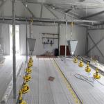 SGS Livestock Farm House Prefabricated Automated Steel Frame Chicken Coop