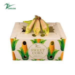 Wholesale Sweet Corn Fruit Corrugated Boxes Banana Correx Packaging Boxes from china suppliers