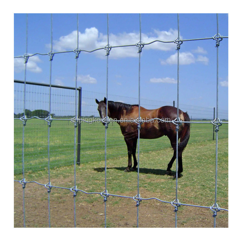 Metal Type Iron Veld Span Fence and Field Fence Wire Hot Dipped Galvanized for Sqaure