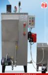 Custom Thermal Oil Steam Generator , Portable Industrial Steam Generator