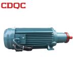 2.2kw Single Induction Electric Motor With High Accuracy Bearings CE ISO