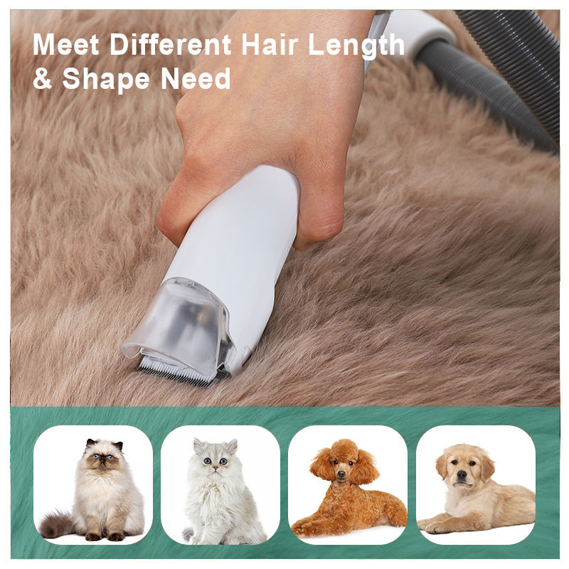 2023 Hot Style Electric Pet Hair Cutter Vacuum with Charging Time Not Applicable