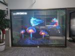480*960mm LED Transparent Film Screen 50000H Waterproof For Indoor Outdoor