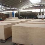 WBP Phenolic 1220X2440mm Marine Okoume Plywood For Boat