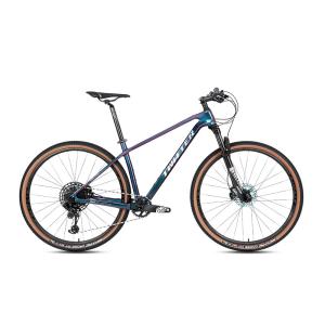 Wholesale 27.5 29er MAX RS Carbon Fiber Mountain Bike RETROSPEC 13 Speed from china suppliers
