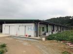 Vegetable Cold Storage Freezer Room Compressor Unit for Outdoor Condenser Unit