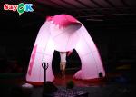 Pink 4m Inflatable Cartoon Characters Advertising Dinosaur Damp Proof