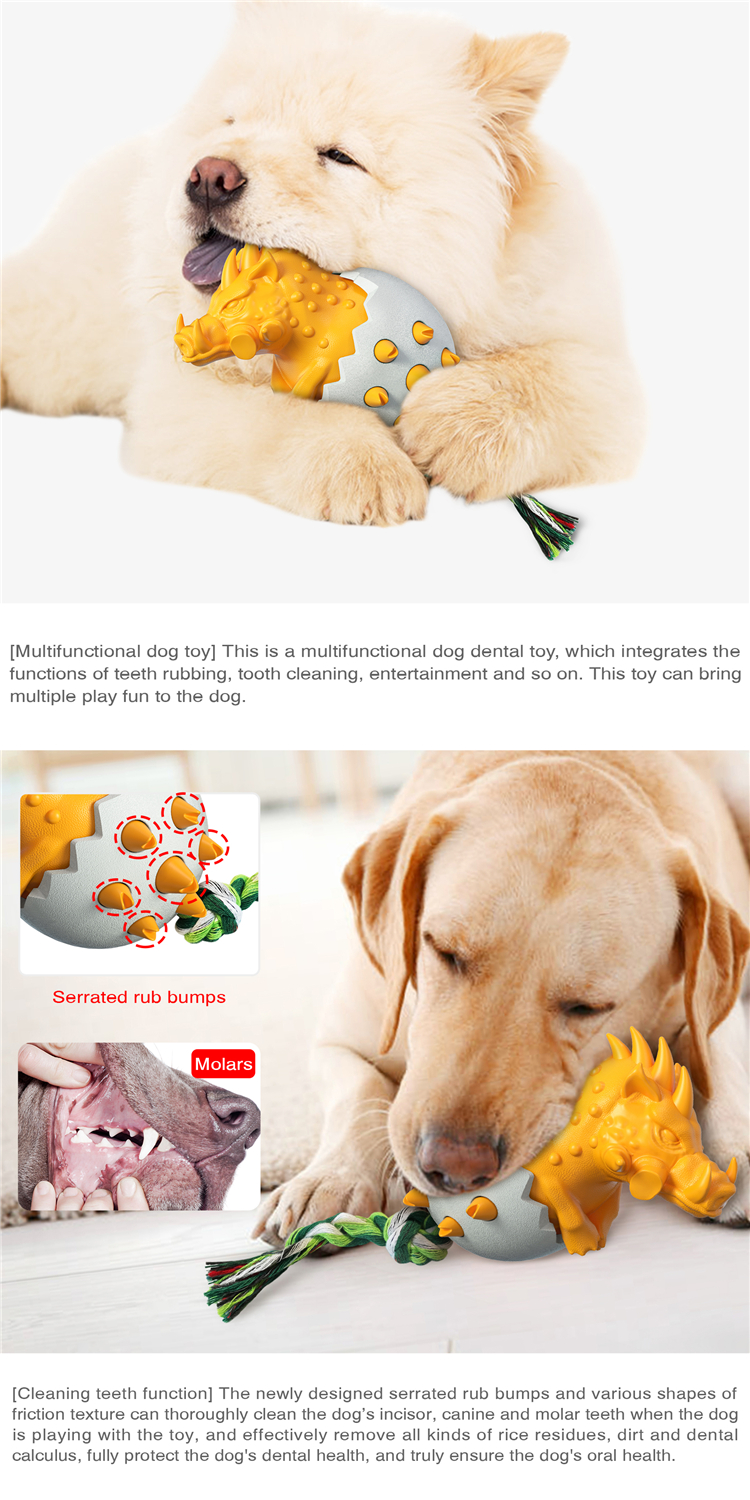 Most Popular High Quality Bite-resistant Star Pet Dog Cooling Pet Training Clean Teeth Chew Dog Toy