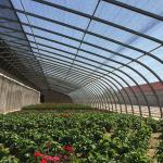Vegetable Fruits Flowers Winter Sunlight Solar Greenhouse Chinese Style