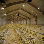 Q235/Q345 Low Carbon Steel Poultry Farm Building For Cow Goat Horse Arena Cattle