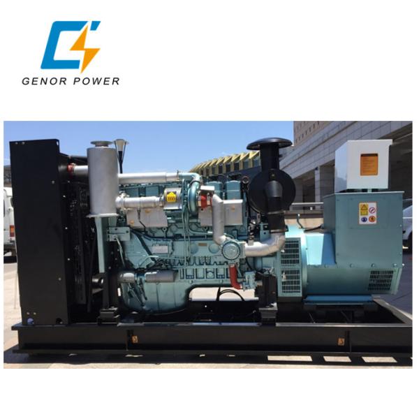 Industrial Power electric 200kw natural gas generator russia altronic ignition