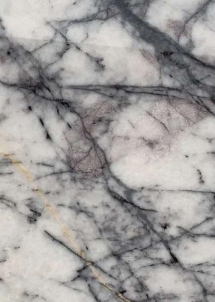 Interior Kitchen Marble Slab , White Marble Floor Tiles Incense Plum / Chanel