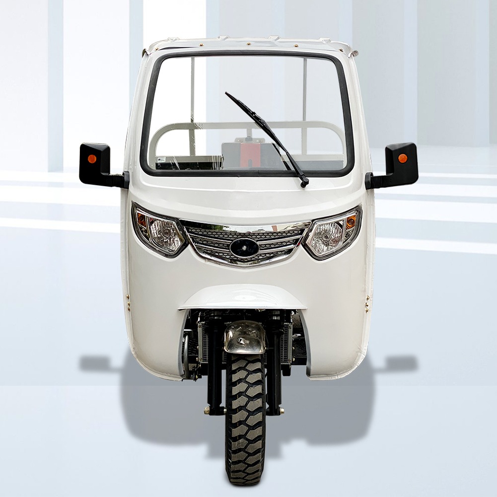 Standard Size 3 Wheel Gasoline 200cc/250cc/300cc Motorcycle Engine Cabin Cargo Tricycle