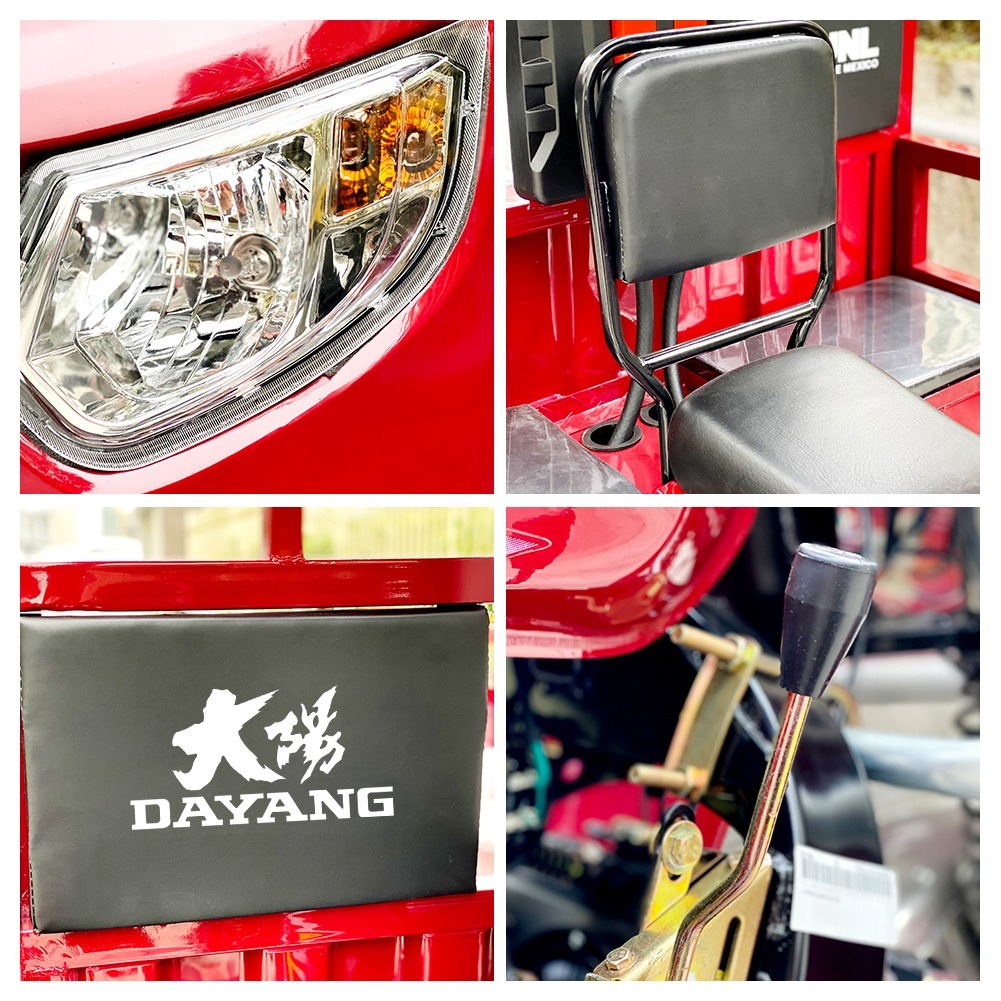 Cabin DAYANG Motorized Adult Passenger Cargo Tricycle 3 Wheel Bike Taxi Tuk Tuk Cart
