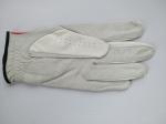 golf glove , golf gloves , glove , gloves