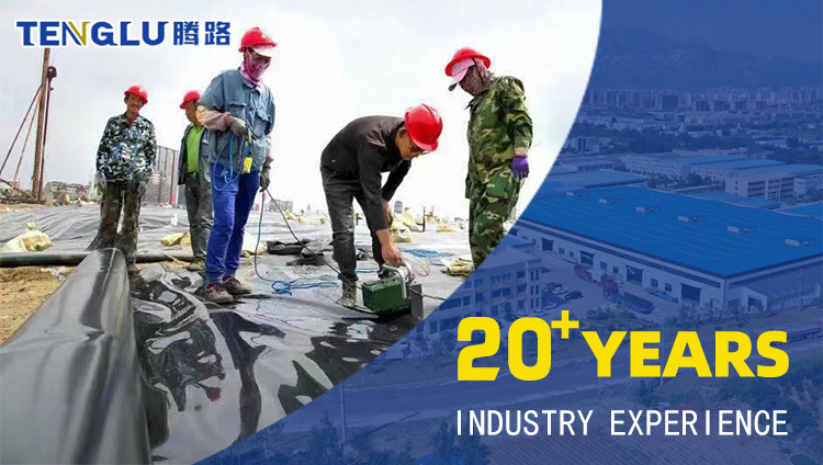 Geomembrane Welding Machine 0.2-2.5mm with Function PE PP PVC Plastic Welder