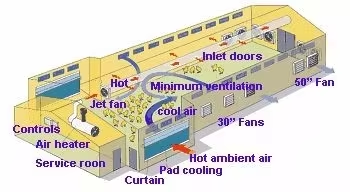 Galvanized Light Steel Frames Single Layer Corrugated Steel Plate Roof Broiler House