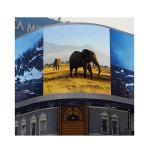 Energy Saving Fixed Rental LED Display Outdoor 6500cd/Sqm Brightness