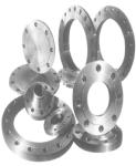 ANSI Stainless Steel Forged Flange