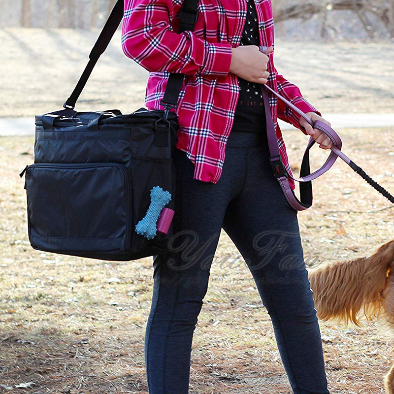 Pet Dog Carry On Luggage Pet Travel Bag