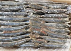 Wholesale Decapterus Muroaji Under 18 Degree 75g 80g Frozen Fishing Bait from china suppliers