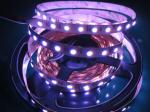 5050 RGBW LED Strip 84leds/m Series