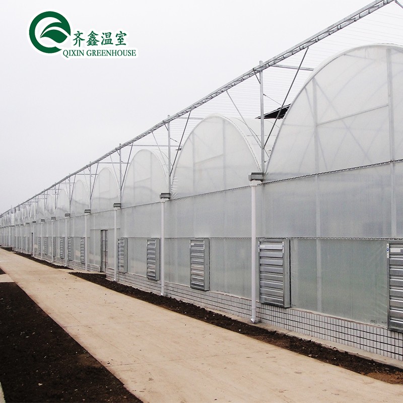 Boost Potato Harvest Large Plastic Pipes Multi-Span Agricultural Greenhouses