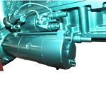 SINOTRUCK HOWO CNHTC Truck WD615.47 WD615.69 D12.42 Engine Assembly with
