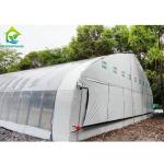 Auto Blackout Light Dep Greenhouse With Electric Film Rolling Tunnel Greenhouse