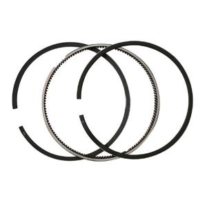 Wholesale Japanese Truck Parts Piston Ring 12040z5505 12040-Z5505 12040-Z5512 12040-Z5517 Sdn31036zy for Ud Mk250 Fe6 from china suppliers